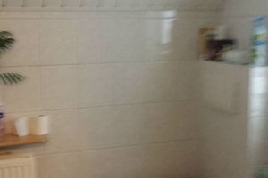20131122_095519.jpg
