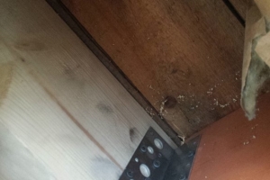 20150428_125127.jpg