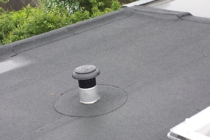 20140528_110302.jpg